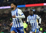 LOL赛事-关于切尔西客场大胜布莱顿，积分继续攀升的信息