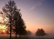 LOL决赛-血脉喷张！辽宁闪电战击溃上海 塔图姆式关键先生定律横跨中美篮坛