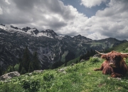 LOL赛事-孔德一锤定音，哥斯达黎加友谊赛掀翻切尔西，拉丁足球的冰与火之歌