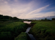 英雄联盟总决赛-奥地利1-4尼斯？非典型对决中格列兹曼独造3球，踢出年度级表演