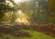 LOL决赛-恩比德节奏完全掌控，山西队终结骑士队不败神话