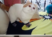 英雄联盟总决赛直播-东决？不，西决之魂！马刺决胜局用体系碾碎灰熊