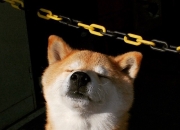 英雄联盟总决赛直播-城市画布上的双星，尼斯法甲奇迹与F1街道上的绝对统治