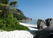 英雄联盟总决赛直播-英格兰笑，阿森纳哭，托尼的闪耀，为何成了枪手最刺眼的光？