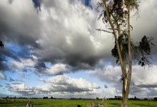 英雄联盟总决赛直播-冰山与高原的对决，冰岛决胜局惊险带走伊朗