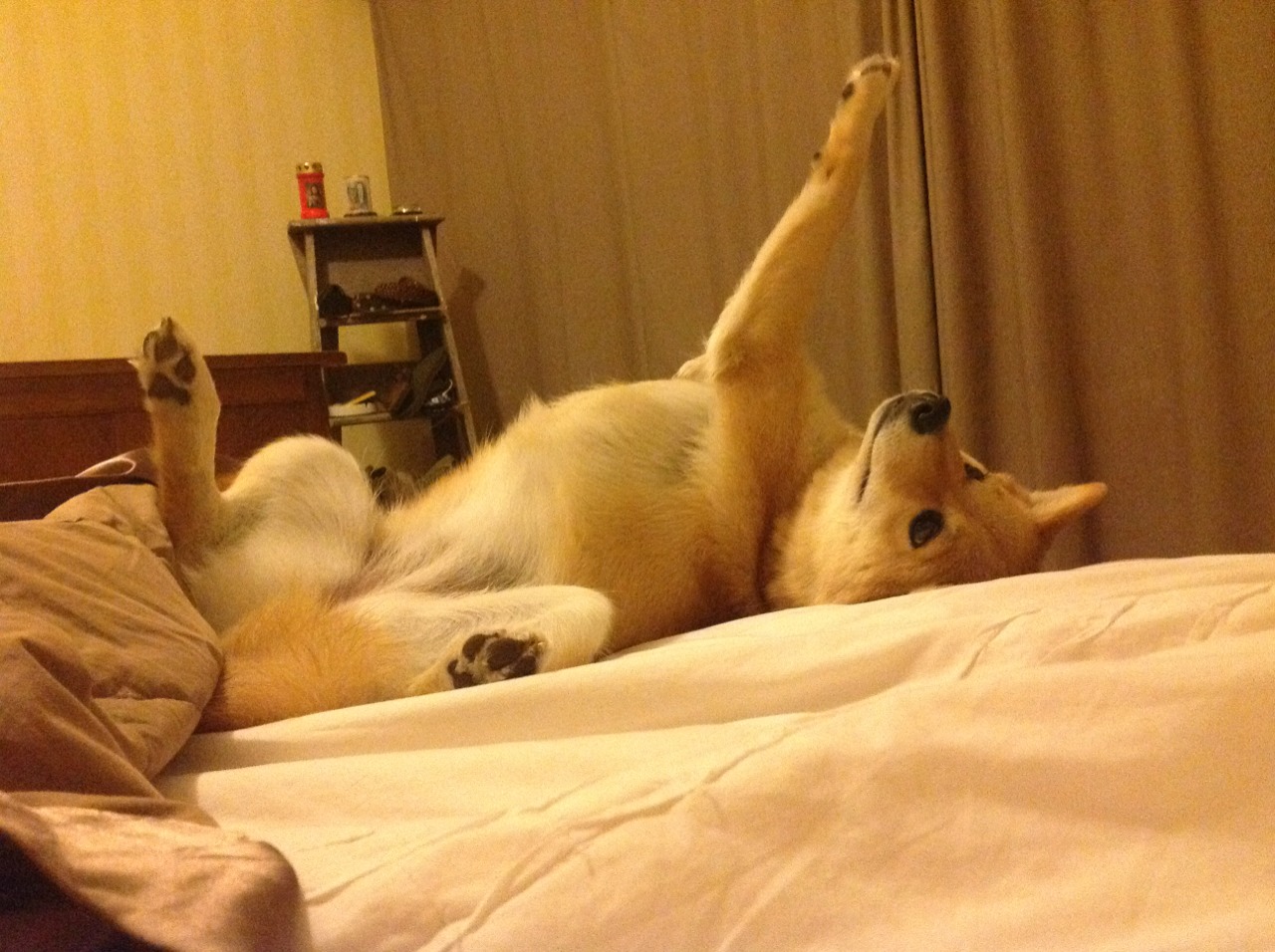 唯一传奇，奥地利巅峰对决，梅西一球改写阿森纳历史