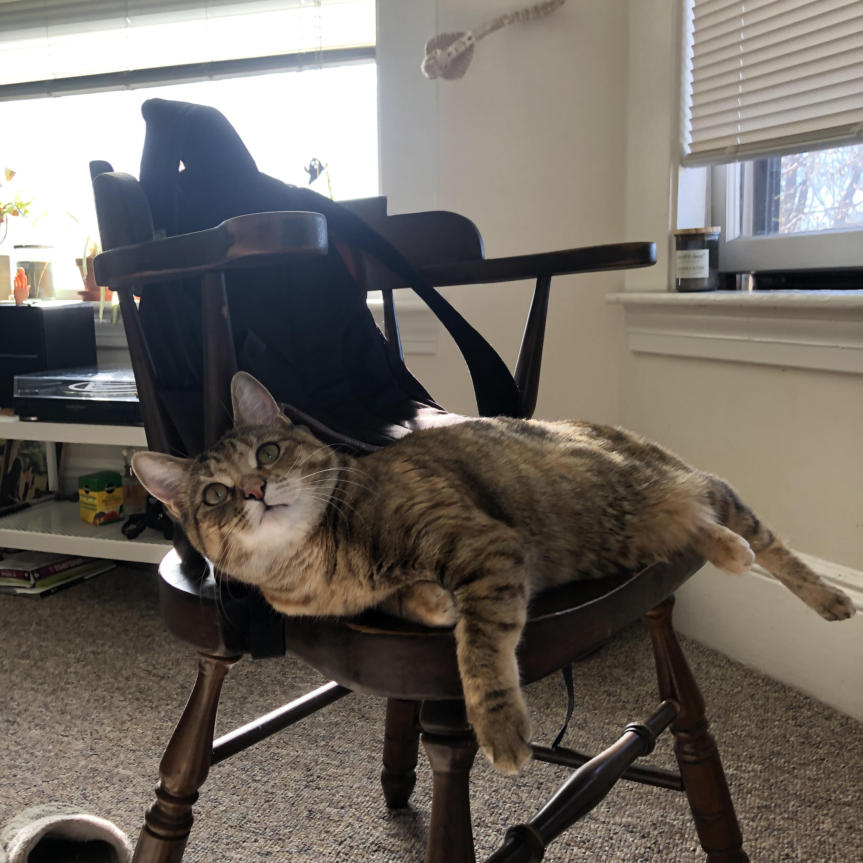 中场新大陆,厄瓜多尔对战马竞,迪巴拉大陆架式稳定输出