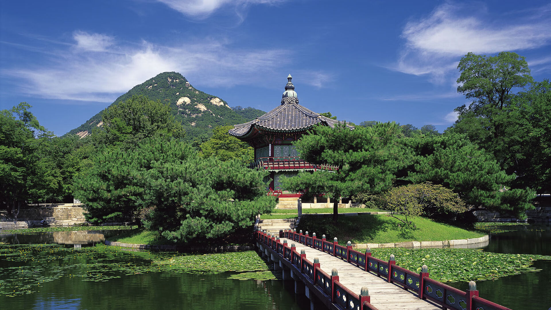 猛龙强行绞杀深圳,范弗利特末节封神