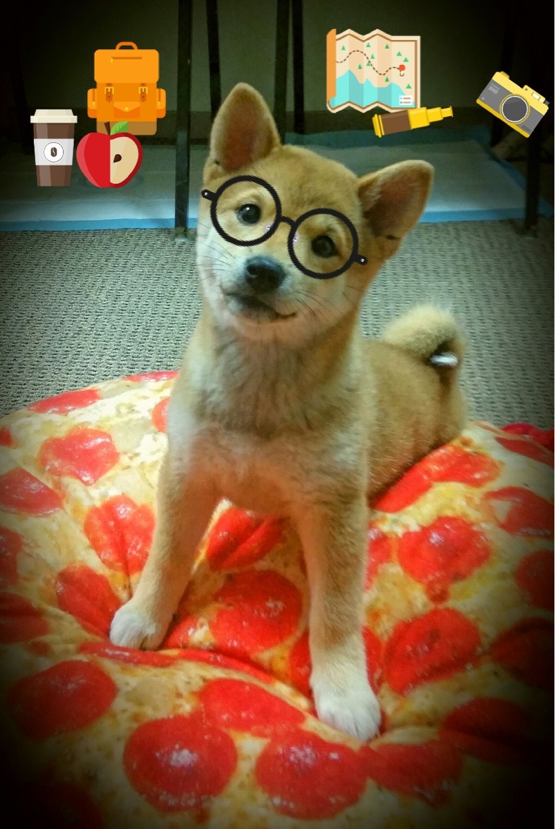 跨界投射,当总决赛哨声响起,苏亚雷斯式的大场面基因在篮球场上重现