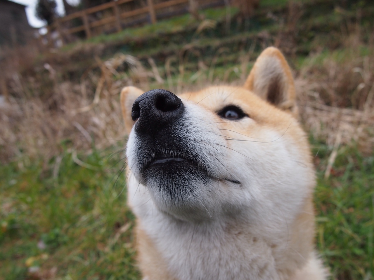 跨界之夜,当快船在篮球场上扬帆,约基奇在F1赛道上掌舵