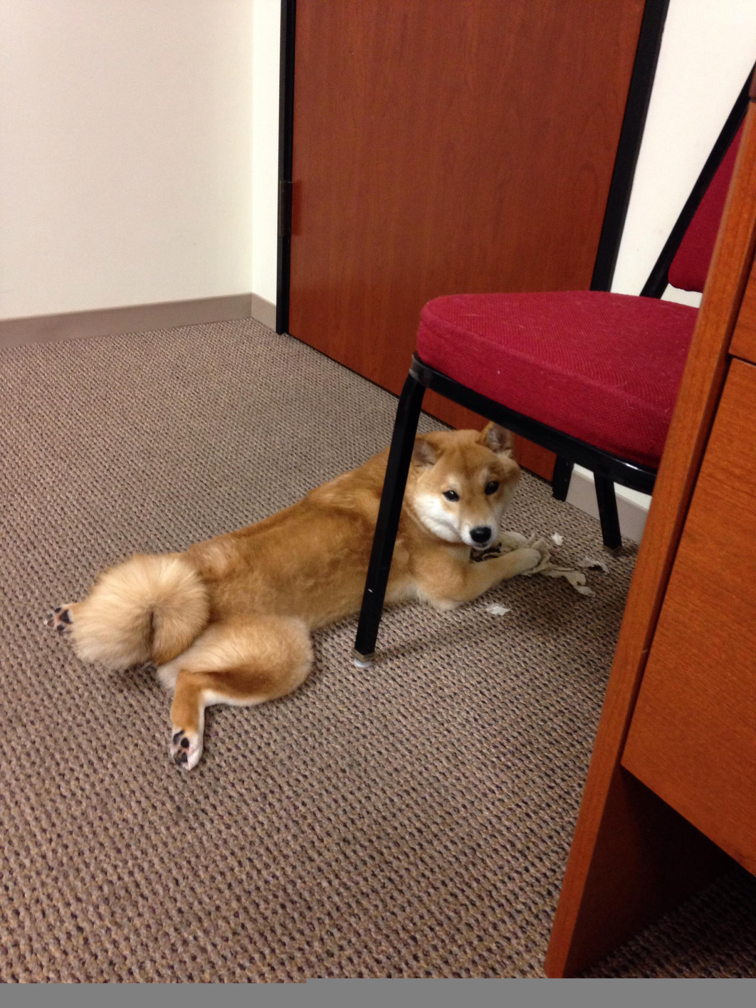 冰与火的碰撞,帕尔默一箭穿云,冰岛足球的寒风吹暖地中海