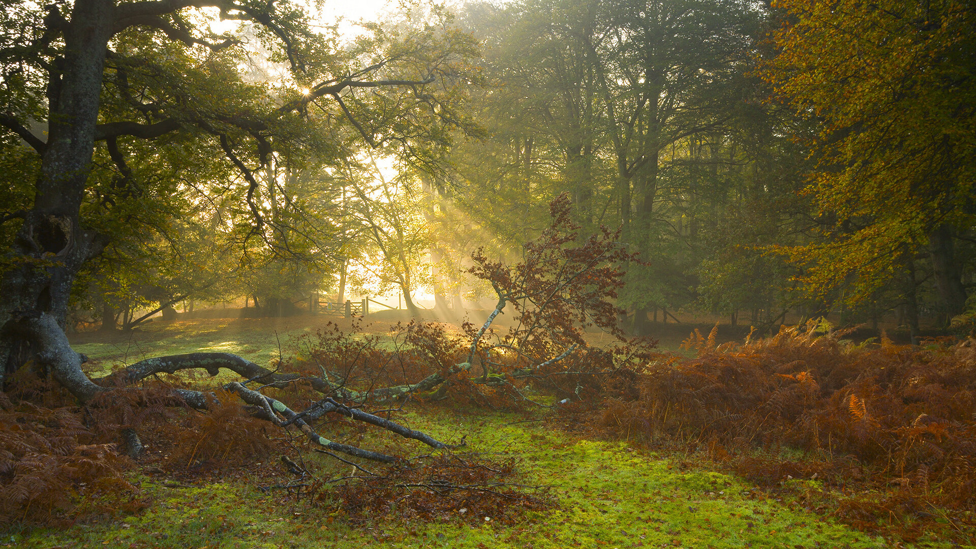暗夜独舞的孤星，审判之夜与杜兰特的三万英尺俯瞰