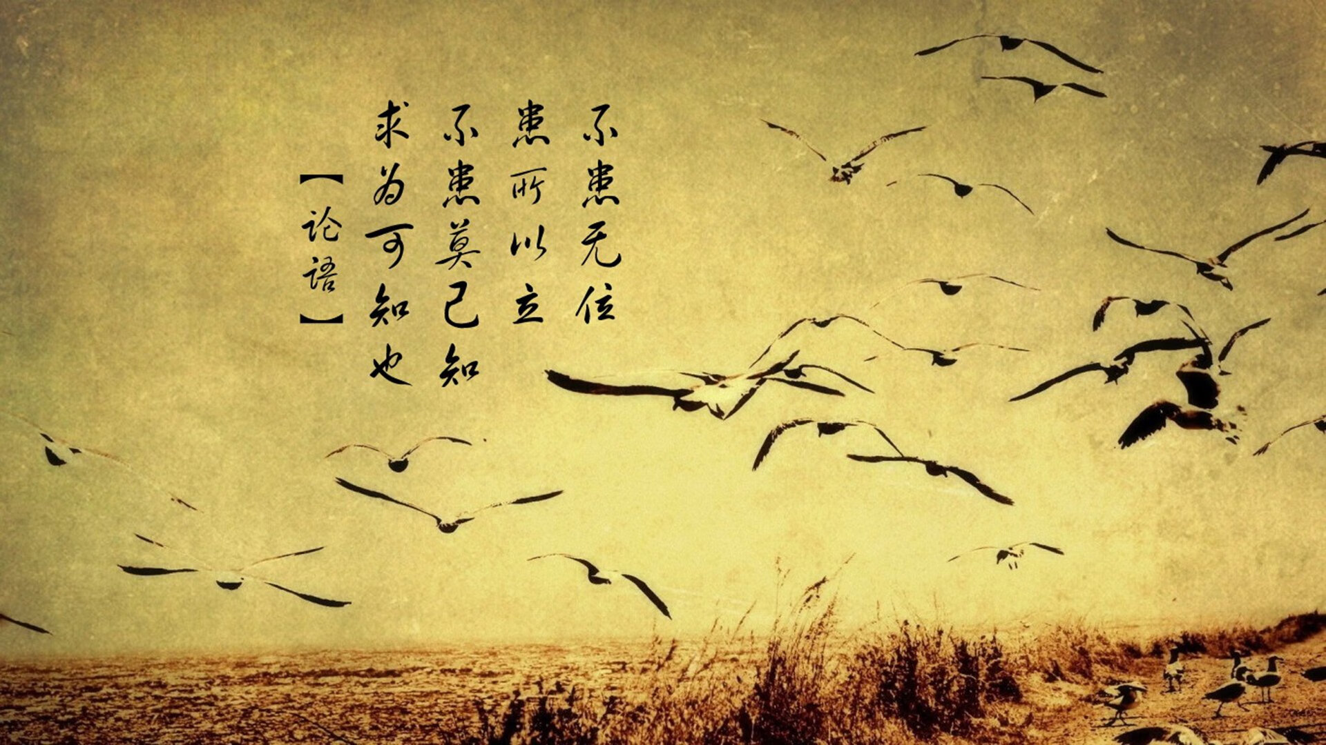 非洲初阳，当足球的钟摆荡回原点