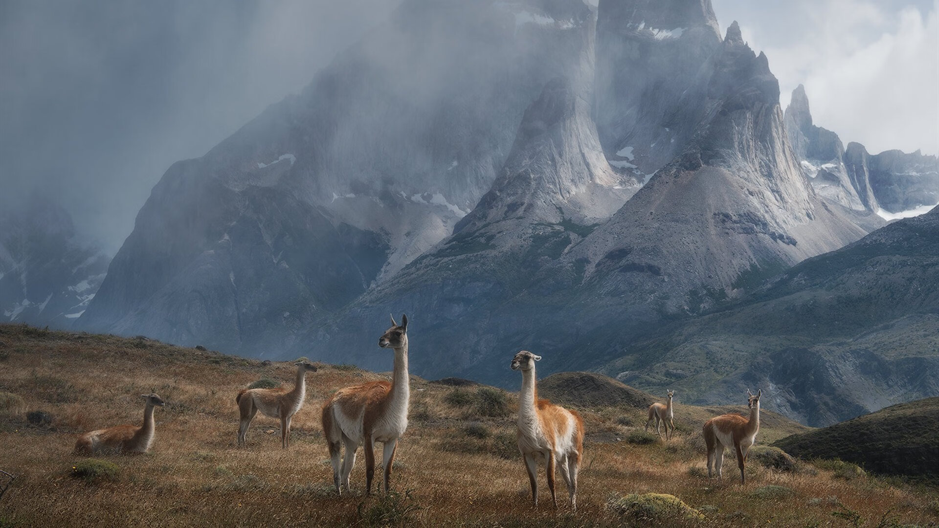 1.老兵不死!保罗末节封神导演横扫,马刺用火箭奠新王座