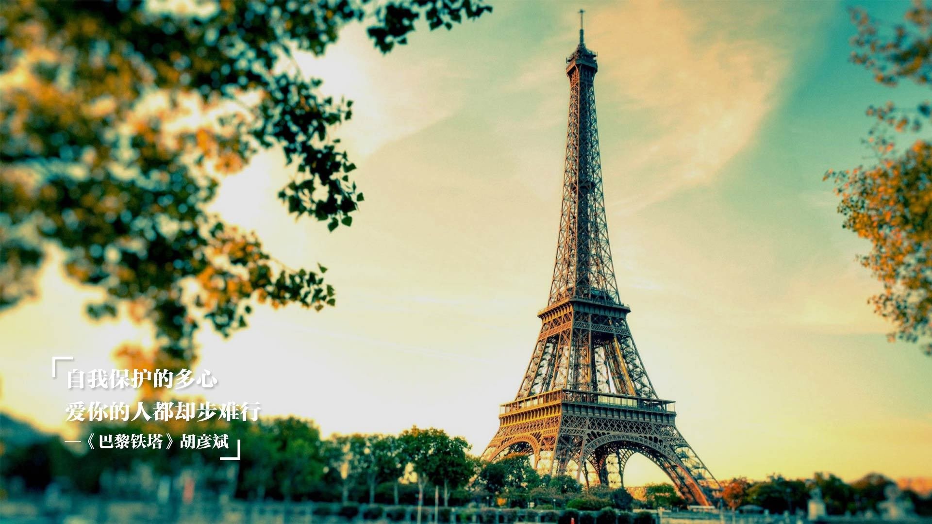 另类总决赛，几内亚与塞内加尔的篮球西非德比