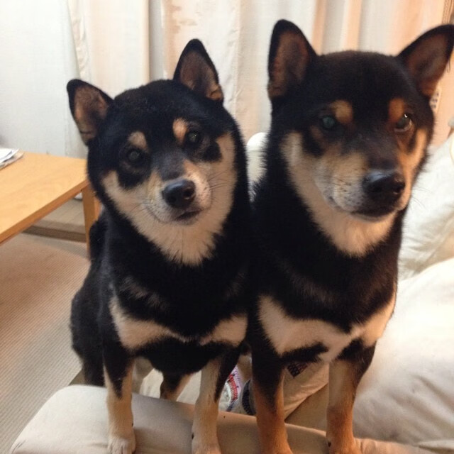 双星闪耀国际比赛日，巴尔韦德重炮破局，瑞典读秒绝杀新西兰