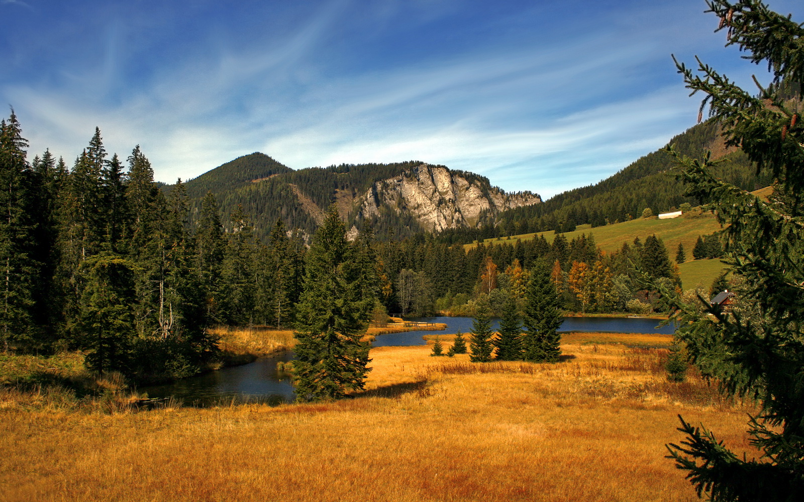 灵魂对局，当切尔西的蓝遇见塞内加尔的绿，金属之心跳动不息