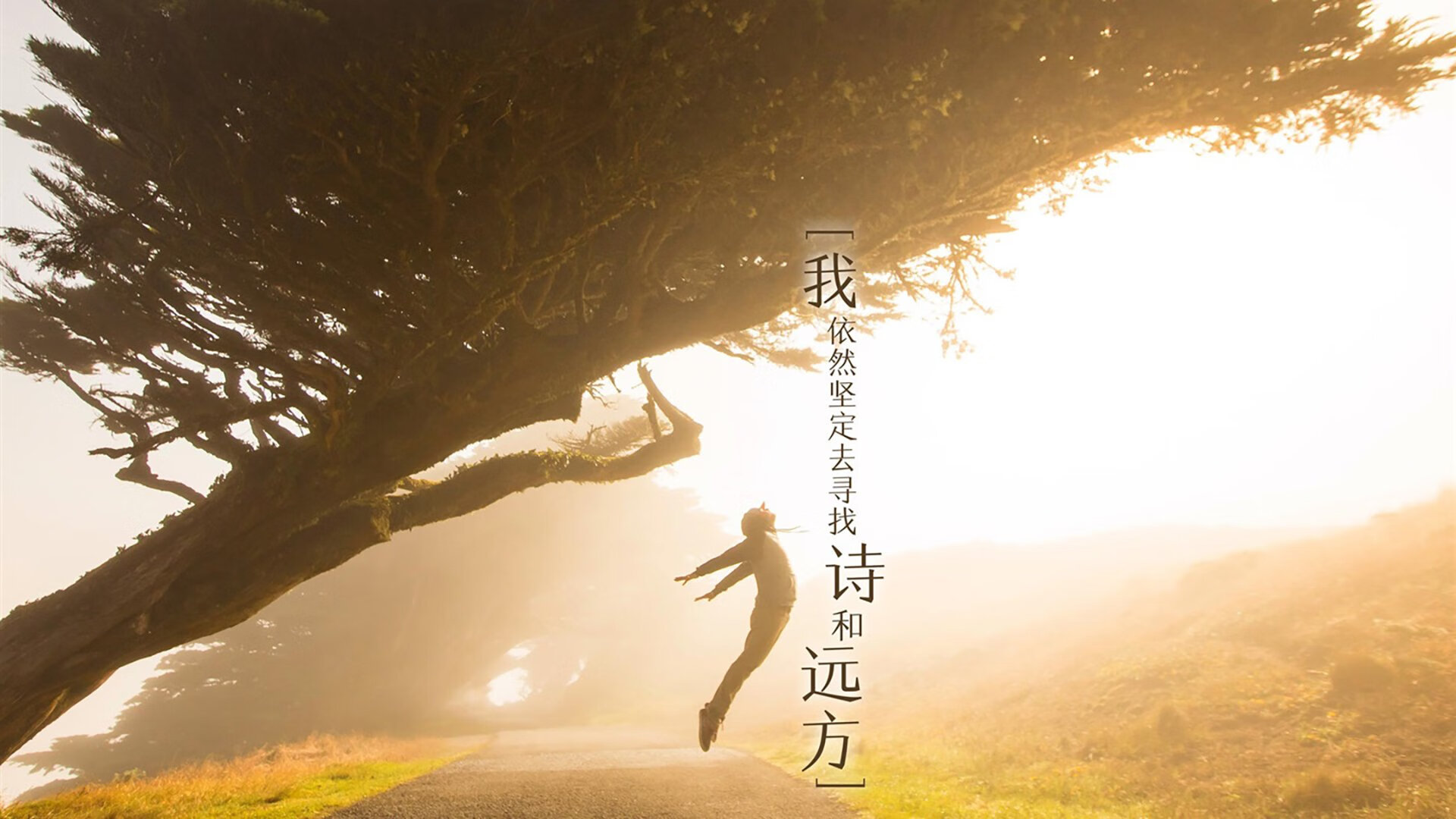 唯一焦点，米切尔破局之战与猛龙的集体胜利