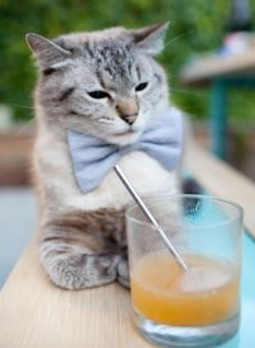 魔术师导演团队交响，铁骑踏碎鹈鹕单打迷梦