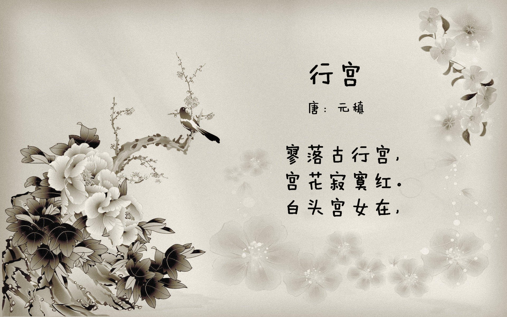 骑士血拼新疆队，福克斯肉搏战上演致命一击