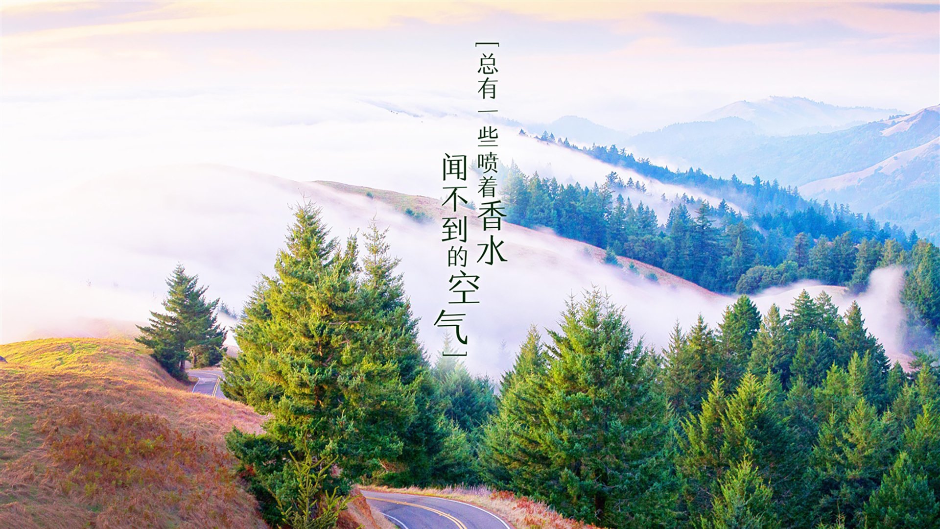 2026世界杯H组,蓝衣军团碾压太极虎,范戴克铁头功锁死胜局—一场关于控球美学的终极演绎