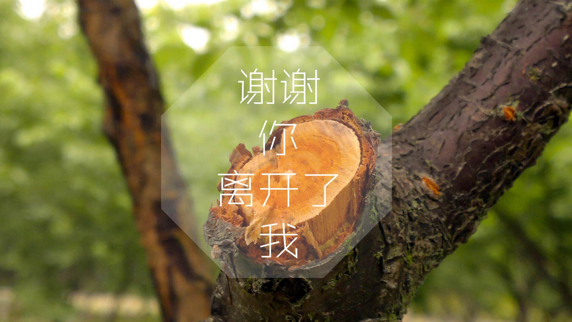 最后一舞,2026世界杯A组,苏亚雷斯用不屈灵魂为智利点燃袋鼠克星传奇